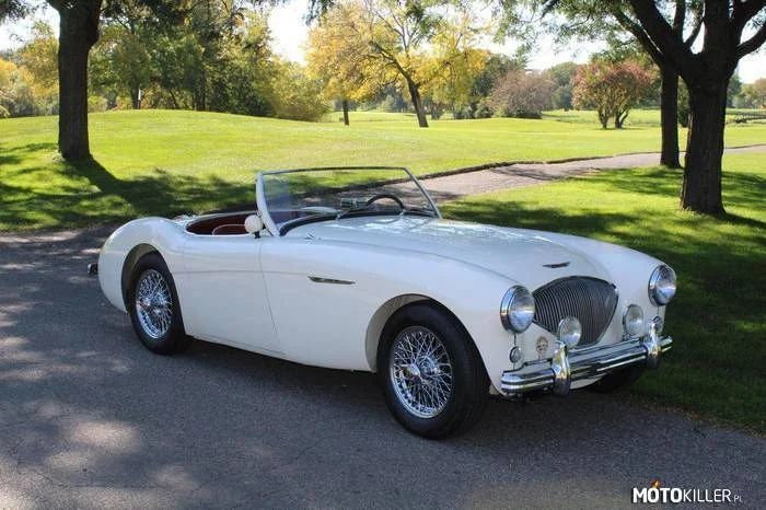Austin Healey 100 BN1 Baujahr 1952-1955