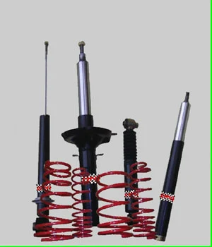Kit Amort+muelle On1 - Renault Megane 2.0 - 1.9dci 02-