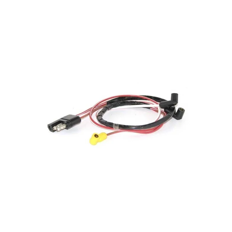 Arnés eléctrico motor V8/ 302 351 69-70