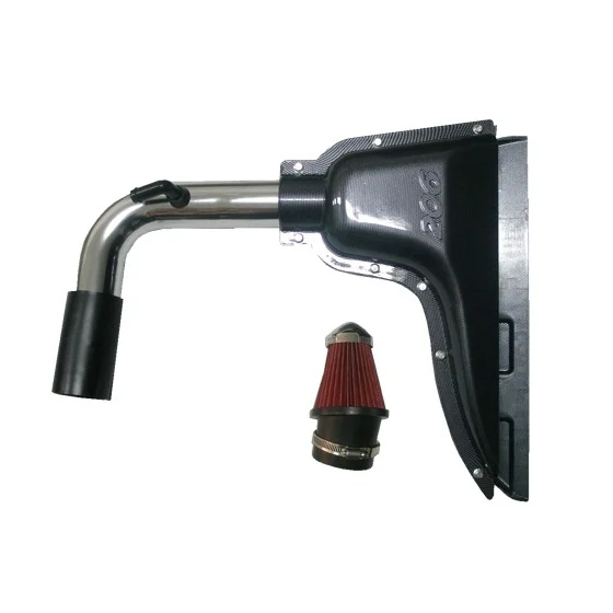Campana Aire Citroen Peugeot 206 Incluye Filtro Btr Performance