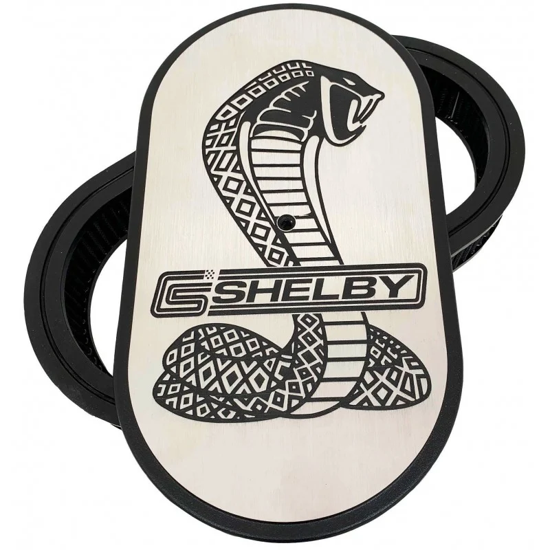 Filtro de aire Ford Shelby Cobra 15