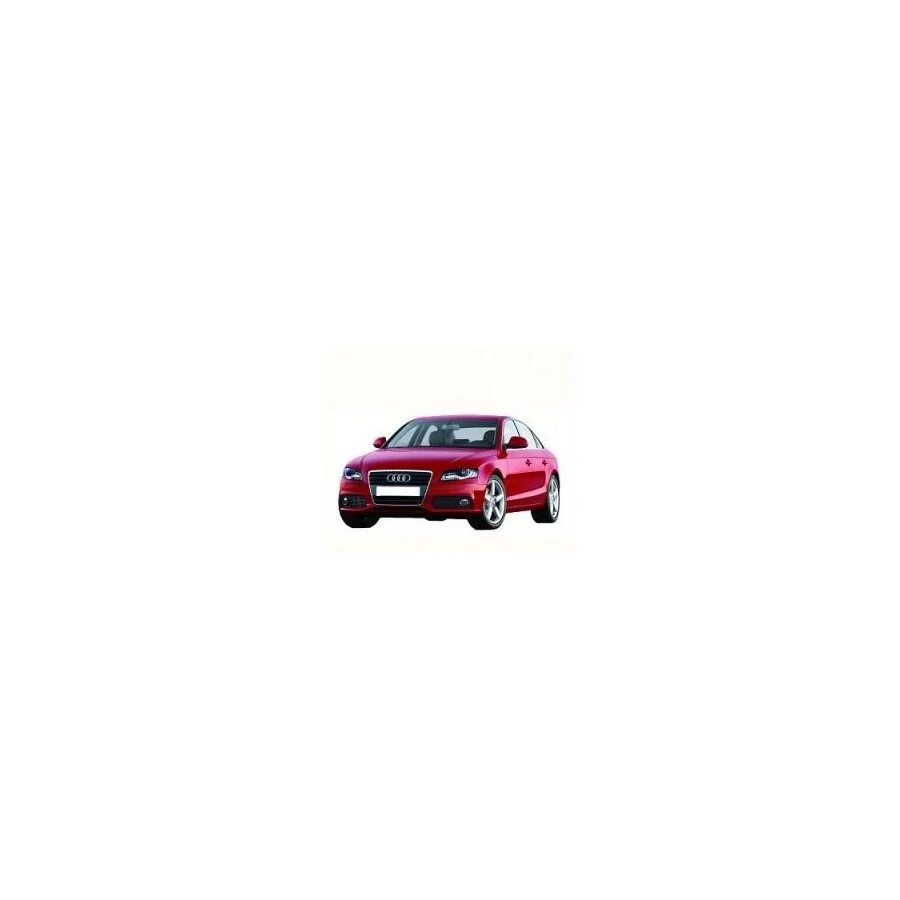 Pack de LEDs para Audi A4 B7 (2004-2007)