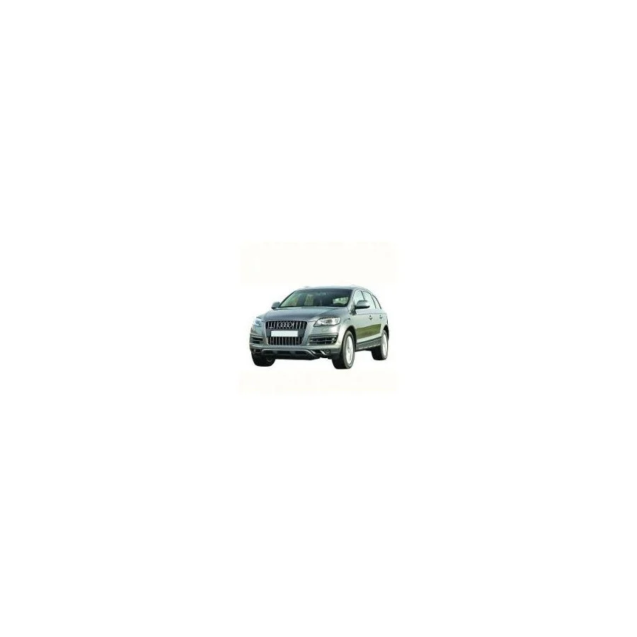 Pack de LEDs para Audi Q7 (2006-2015)