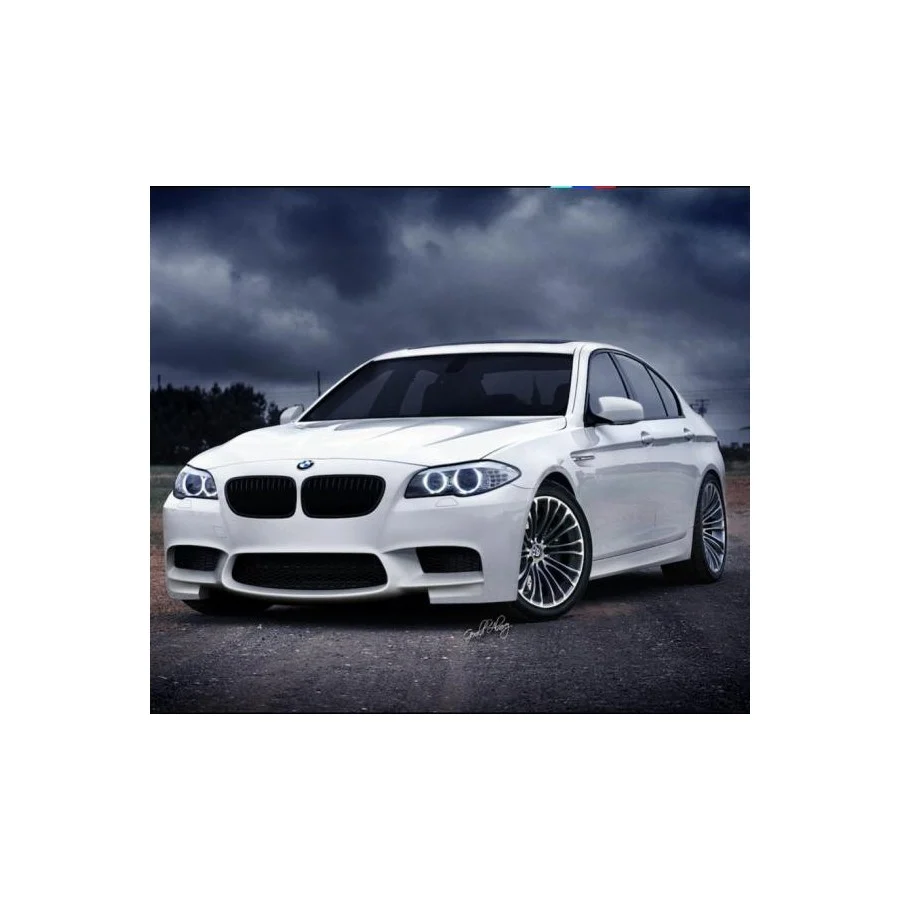 Pack de LEDs para BMW Serie 5 F10 (2010-2013)