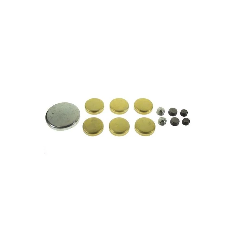 Tapones del bloque del motor, 429 460 68-73